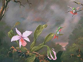 Go to Orchid & Hummingbird and Landscape Paintings